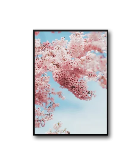 Spring Frame — изображение 2