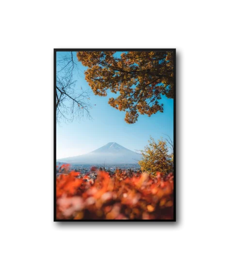 Spring Frame — изображение 3